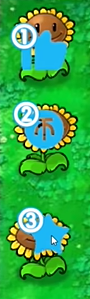 植物大战僵尸三连版