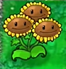 植物大战僵尸三连版