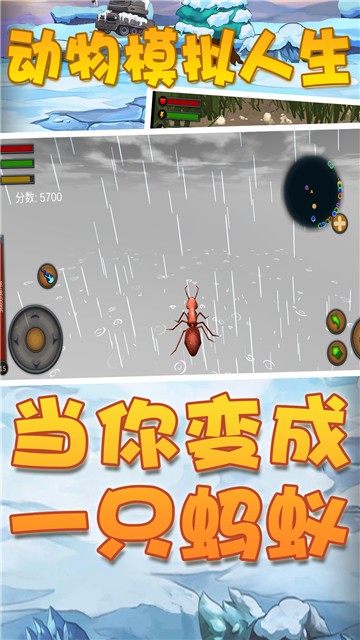 动物模拟人生1