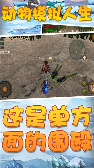 动物模拟人生1