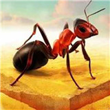 动物模拟人生 v1.0.0.1