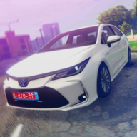 卡罗拉停车丰田司机 v1.0
