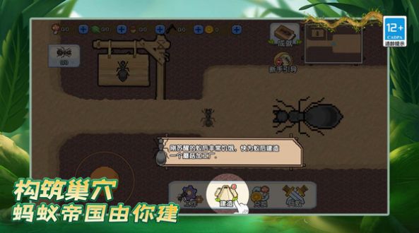 蚂蚁之王复仇版1