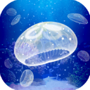 养育水母的治愈游戏 v1.0.0