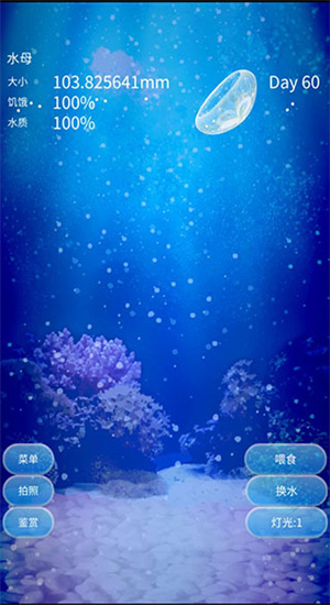 养育水母的治愈游戏1