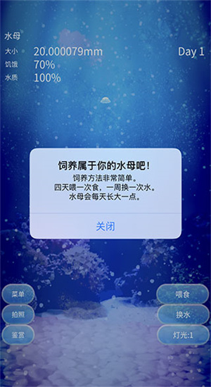 养育水母的治愈游戏1