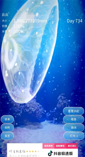 养育水母的治愈游戏1