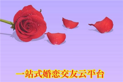 爱了见见